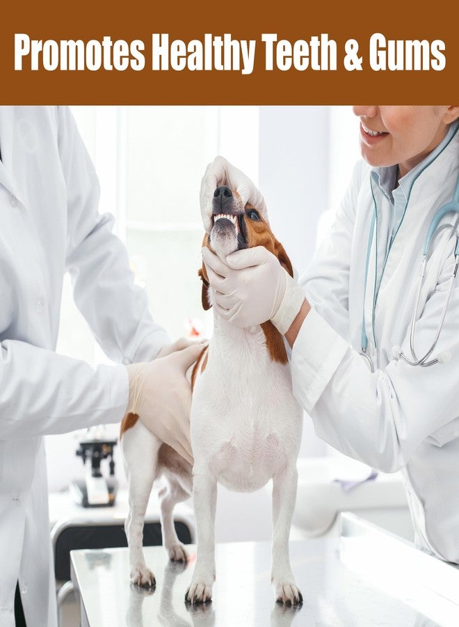 سبوت عظمة مضغ الكلاب SPOT Bam-Bones Plus ثلاثية الأرجل، مصنوعة من ألياف الخيزران والنايلون، متينة للكلاب التي تمضغ بقوة متوسطة إلى شديدة، لا تتشظى، مناسبة للكلاب البالغة والجراء في مرحلة التسنين التي يقل وزنها عن 23 كيلوغرامًا، طولها 13 سم، بنكهة البيسون. - Image 4